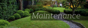garden maintenance fethiye